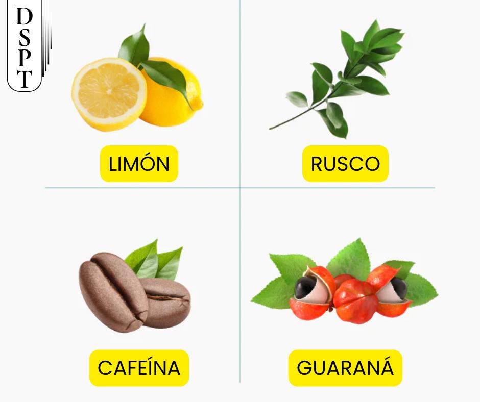 GEL REAFIRMANTE REDUCTOR MENTA | DERMISPLANT | EFECTO REMODELANTE Y ADELGAZANTE | FAVORECE EL METABOLISMO DEL LÍPIDO