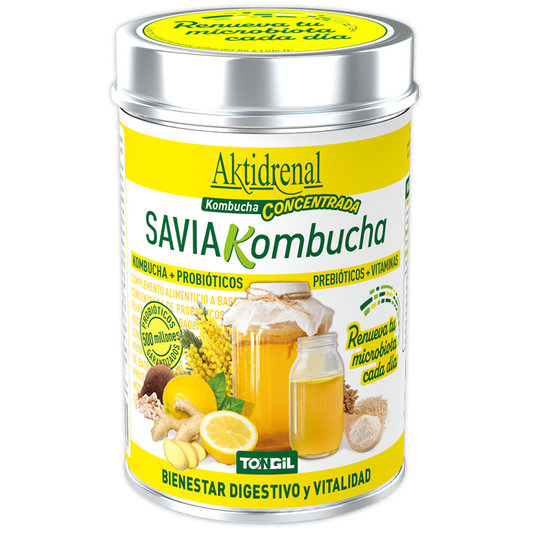 SAVIA KOMBUCHA