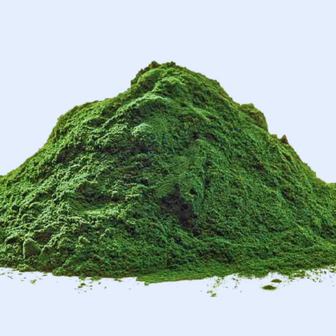 Chlorella Polvo Bio 200 grs